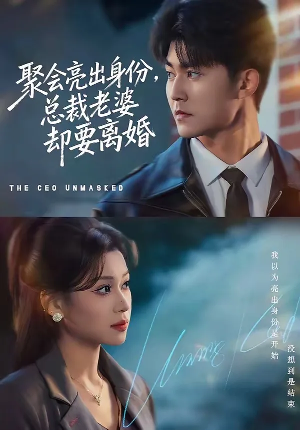聚会亮出身份,总裁老婆却要离婚