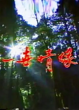 一世情缘