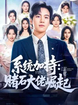 统加持：赌石大佬崛起